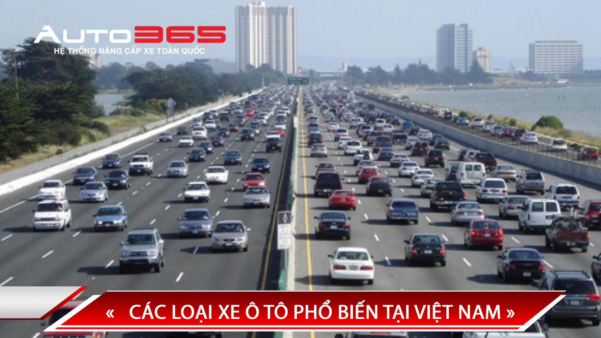 CÁC LOẠI XE Ô TÔ PHỔ BIẾN TẠI VIỆT NAM